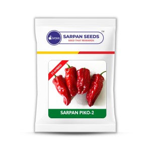 SARPAN PIKO-2 SEEDS product  Image 1