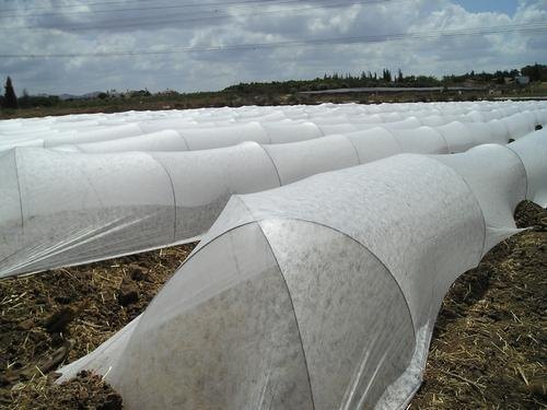 KOHINOOR - CROP COVERS product  Image