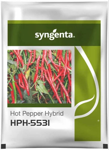 HPH 5531 CHILLI SEEDS product  Image 1