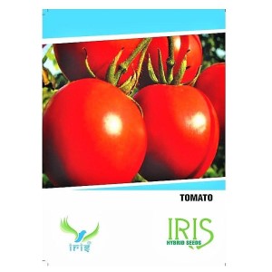 IRIS HYBRID VEGETABLE SEEDS TOMATO product  Image 1