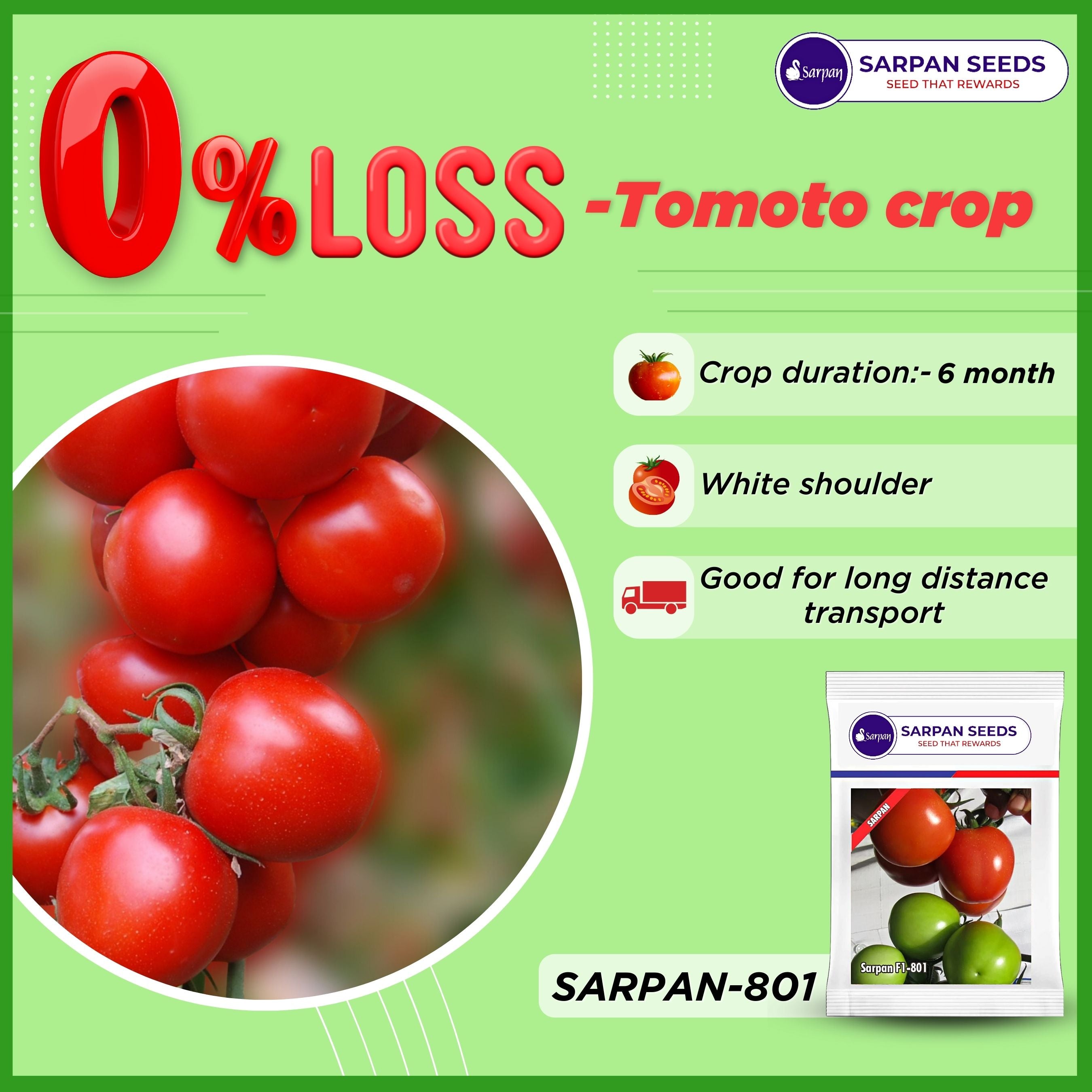 SARPAN TOMATO-801 SEEDS product  Image 2