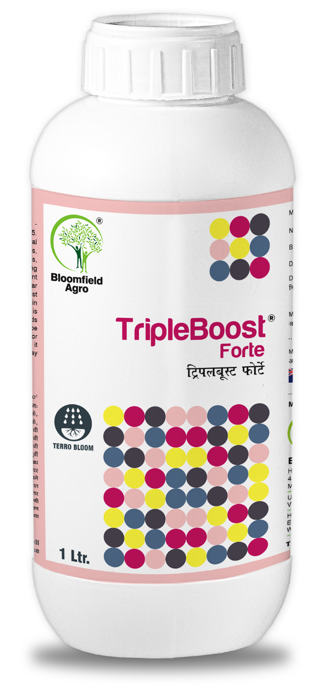 BLOOMFIELD TRIPLEBOOST FORTE product  Image 1