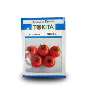 TSX-999 TOMATO product  Image 1