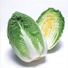 APOLLO CHINESE CABBAGE F1 product  Image