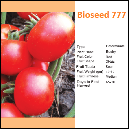 BIOSEED 777 TOMATO product  Image