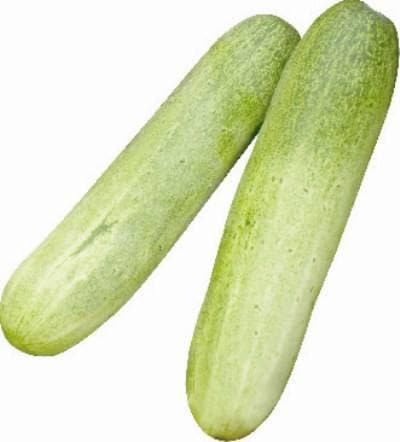 ENCOUNTER CUCUMBER product  Image 2