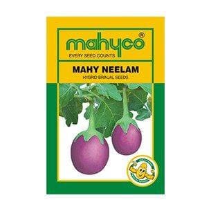 MAHY NEELAM BRINJAL product  Image