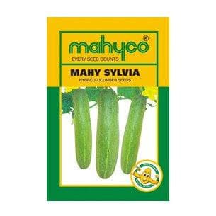 MAHY SYLVIA CUCUMBER product  Image