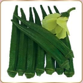 MARVEL BHENDI (OKRA) ( मार्वल भिंडी ) product  Image 2