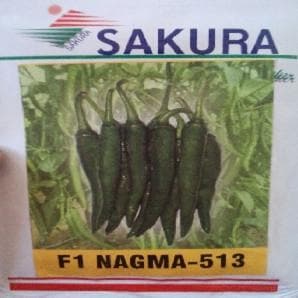 NAGMA F1 CHILLI product  Image 1