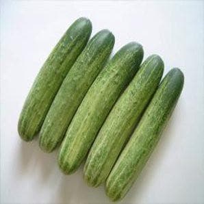 NS 404 CUCUMBER SEEDS product  Image 2