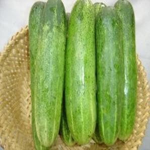 NS 415 CUCUMBER product  Image 2