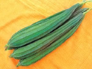 NS 471 RIDGE GOURD product  Image 3