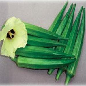 NS 864 BHENDI (OKRA) ( एनएस 864 भिंडी ) product  Image 2