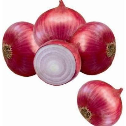 PREMA 178 ONION SEEDS product  Image 4