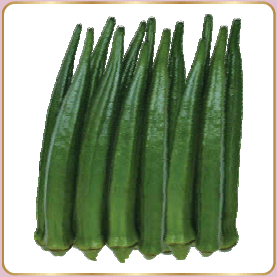 ROHINI BHENDI (OKRA) ( रोहिणी भिंडी ) product  Image 2