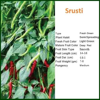 SRUSTI CHILLI product  Image 1