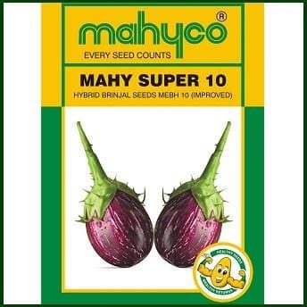 SUPER 10 BRINJAL product  Image 1