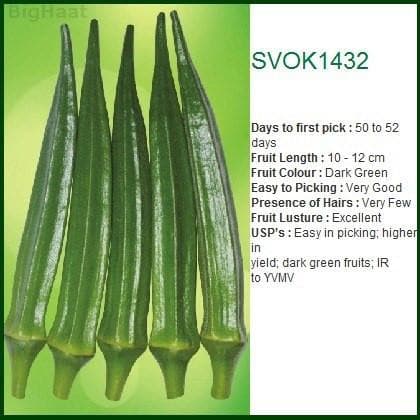 SVOK1432 BHENDI (OKRA) ( एसवीओके1432 भिंडी ) product  Image