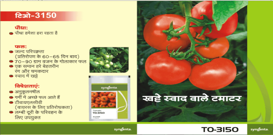 TO-3150 TOMATO product  Image 2