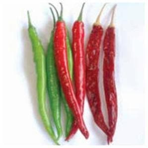 US 611 CHILLI product  Image 2