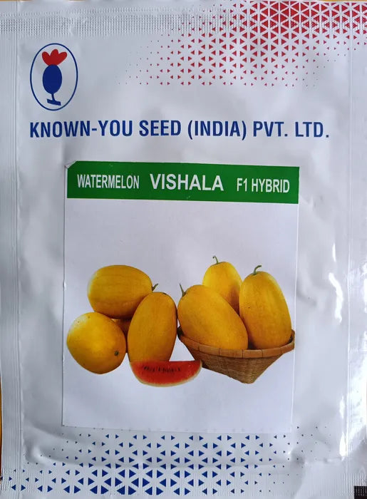 VISHALA WATERMELON product  Image 1