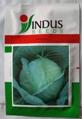 INDUS CABBAGE JUHI HYBRID SEEDS product  Image 2