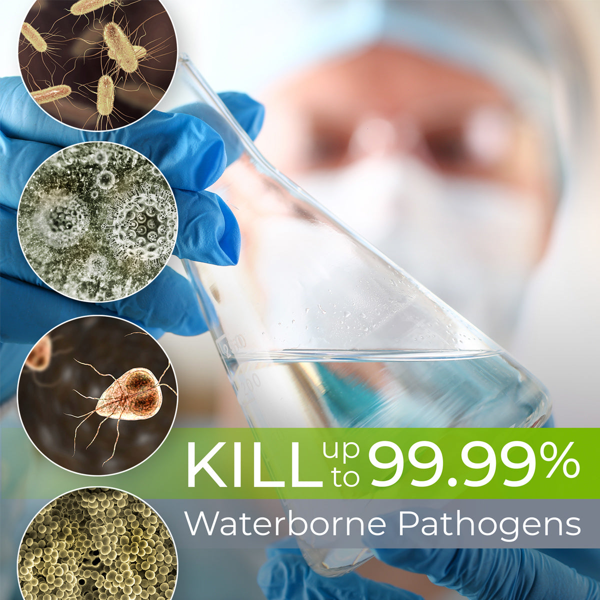 kill pathogens