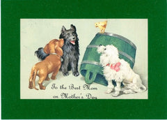 Illustration of dogs on the front with the words to the best mom on mother's day