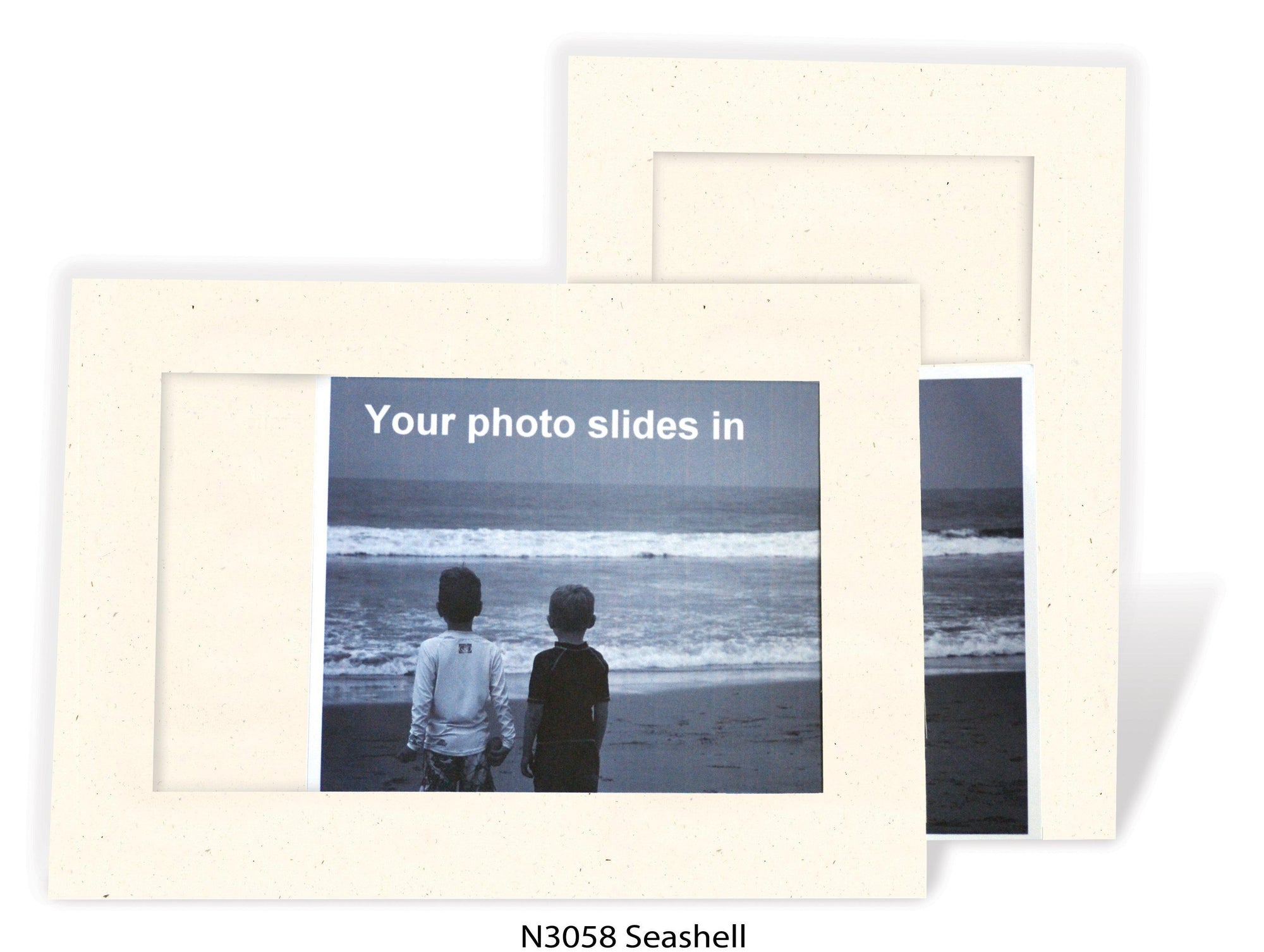 Seashell #N3058-Photo note cards-Plymouth Cards