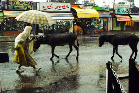 Rain in Ethiopia