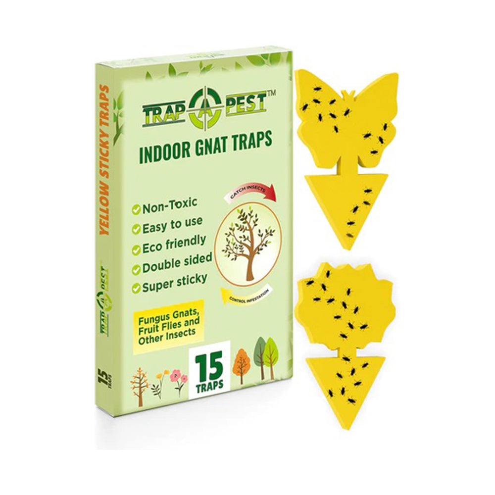 Trappify Indoor Window Fly Traps: Window Fly Trap for Indoor Home Pest Control - Fly, Gnat, and Other Flying Insect Killer with Extra Sticky Adhesive