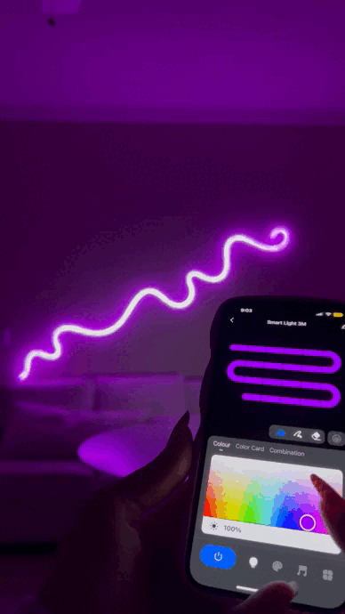 Neon Strip™ 2.0 – Neon panda