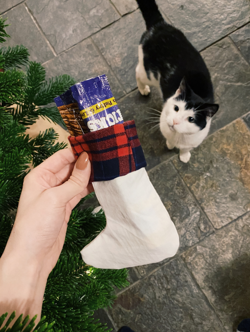 mini pet stocking tutorial