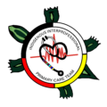 IIPCT logo