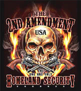 2nd Amendment Skull Flames Tee Medium - Obsessions Vibes