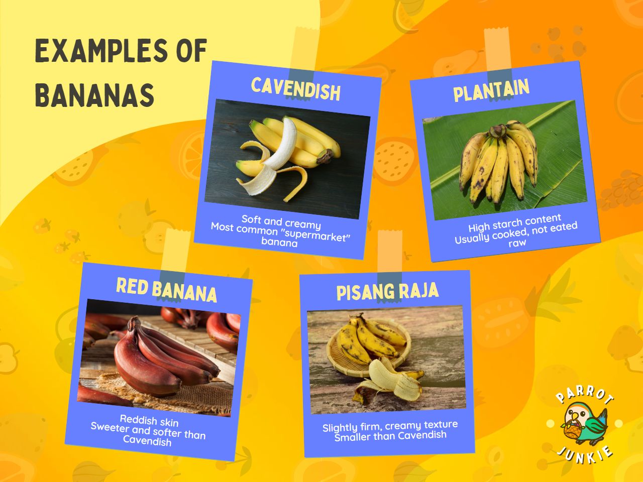 four examples of bananas