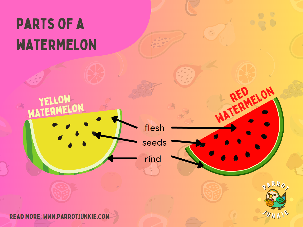 parts of a watermelon