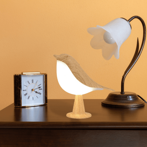 Comment changer une douille de lampe ? – Le Coin Lumineux