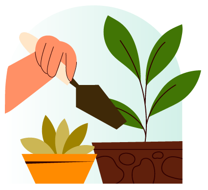 Potting Mixes