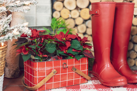 Christmas decor ideas by Amore Beaute