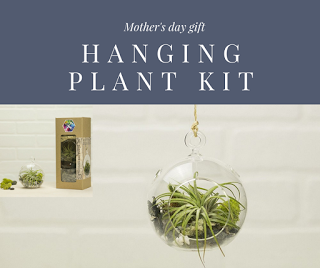 Hanging Plant Kit