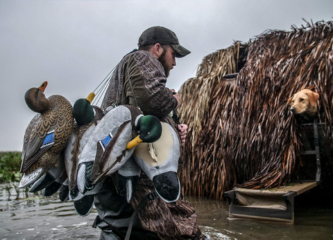 Flambeau Gunning Series Mallard Decoys