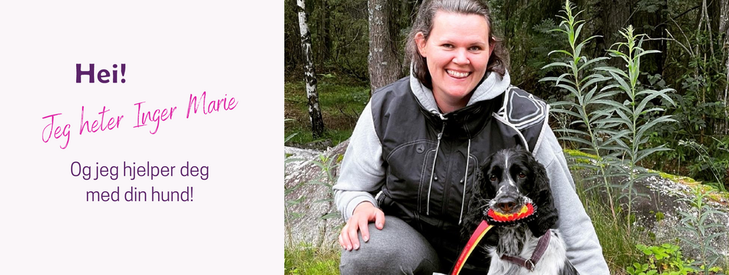 Om Dogtivity AS - Inger Marie hjelper deg med din hund!