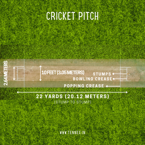 cricket pitch