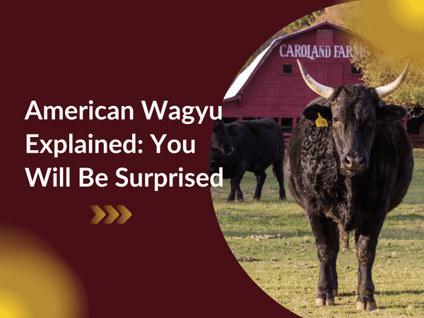 American Wagyu Explained