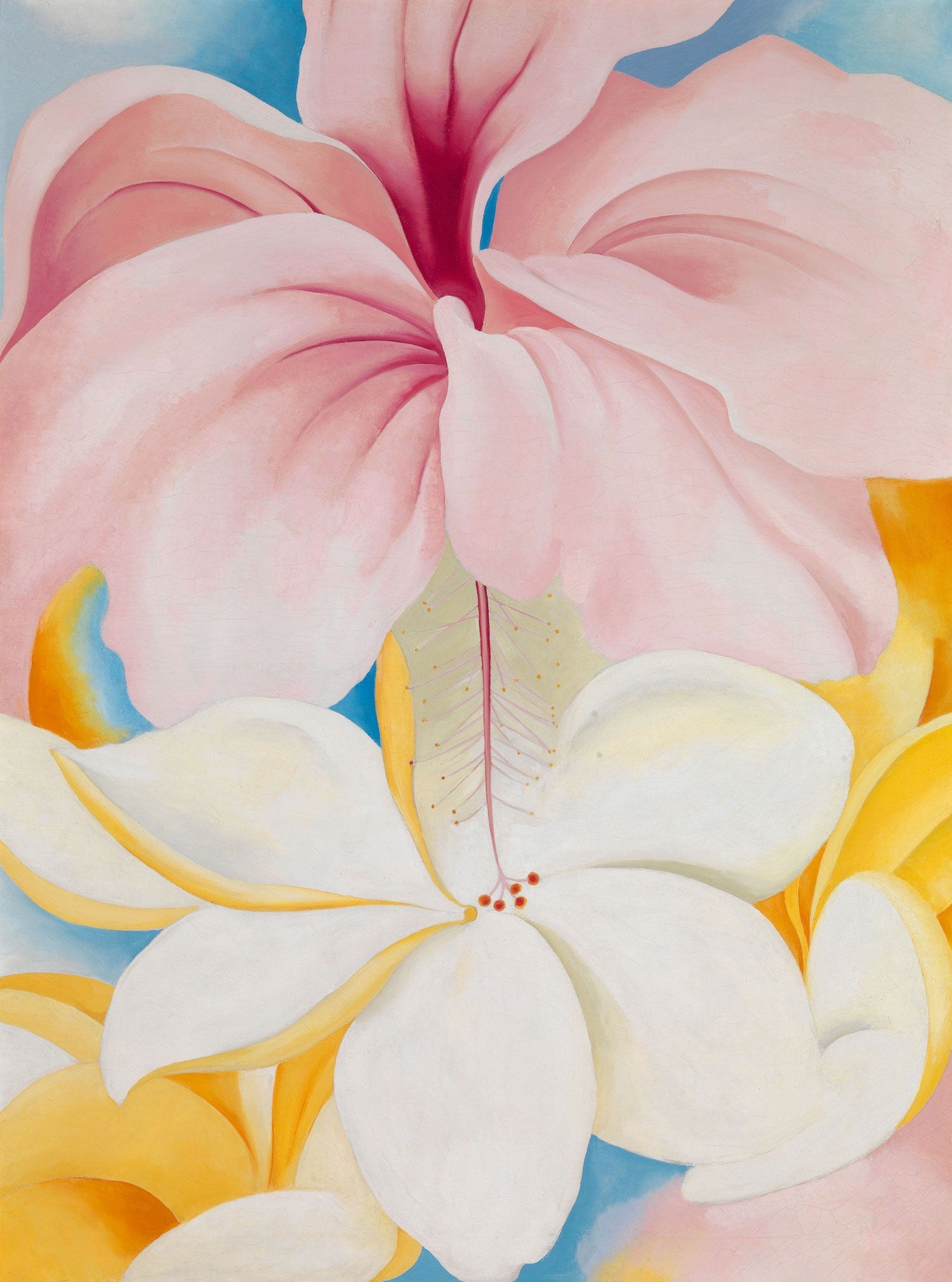 georgia okeefe floral painting