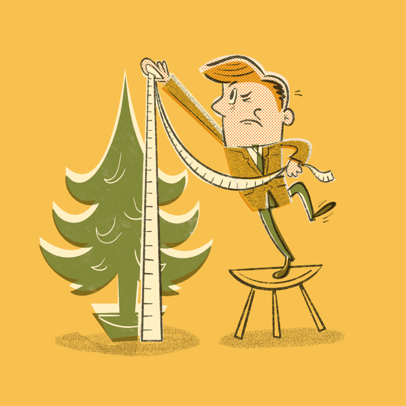 Cartoon of man measuring Christmas Tree