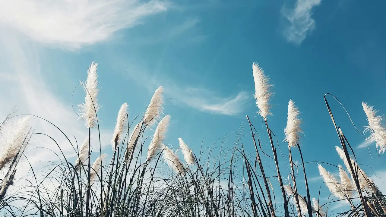 Air Element Explained