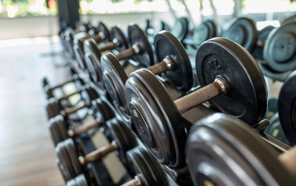 troy pro-style professional dumbbells on rack